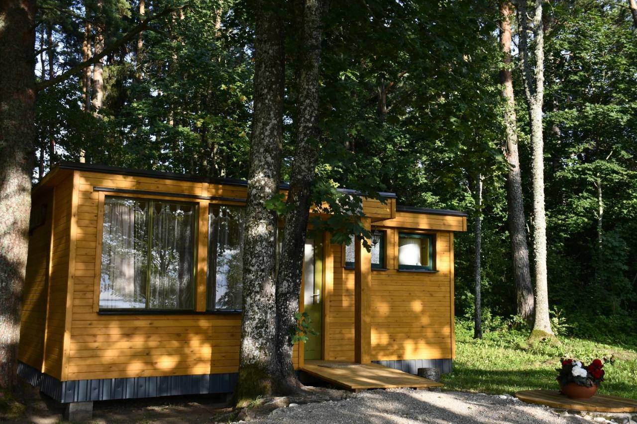 Kempings Ezerpriedes Burtnieki  Esterno foto