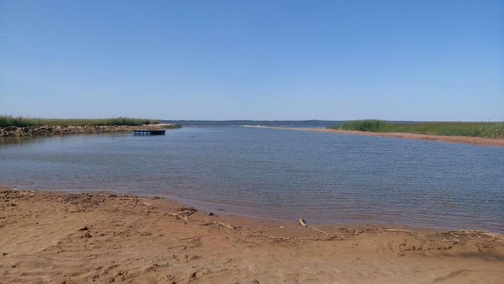 Kempings Ezerpriedes Burtnieki  Esterno foto